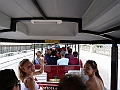 Trenino (37)